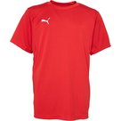 Puma-liga-training-jersey-junior-rood-wit-65563101