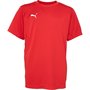 Puma-liga-training-jersey-junior-rood-wit-65563101