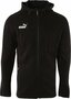 Puma team final hooded jacket zwart 65738303