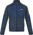 Regatta coladane ll outdoorvest moonlight dark tng RMA484B30_